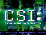 csi0800.jpg